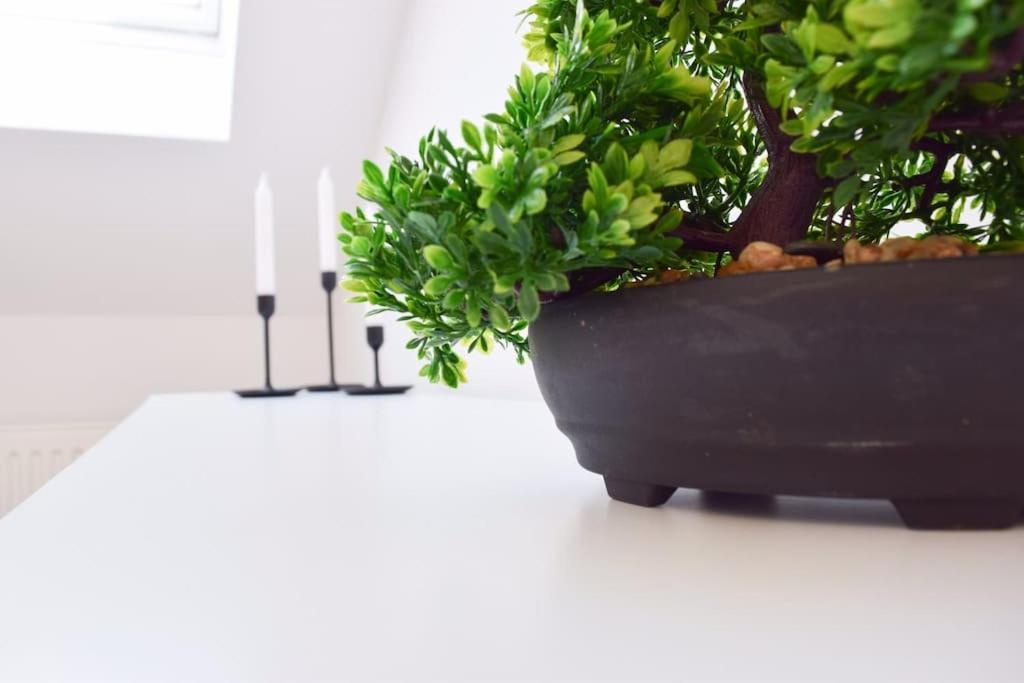 Wattwuermchen Appartement Wremen Buitenkant foto
